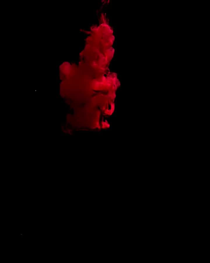 Crimson ink blooming through black water.